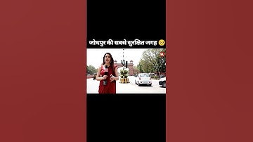 AI Reporting with @reelbundlez: Key Trends & Insights