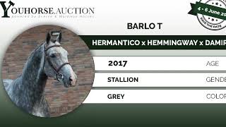 Barlot Under The Saddle Jumper In The Online Youhorse.auction June 4Th 2022 Until June 7Th 2022