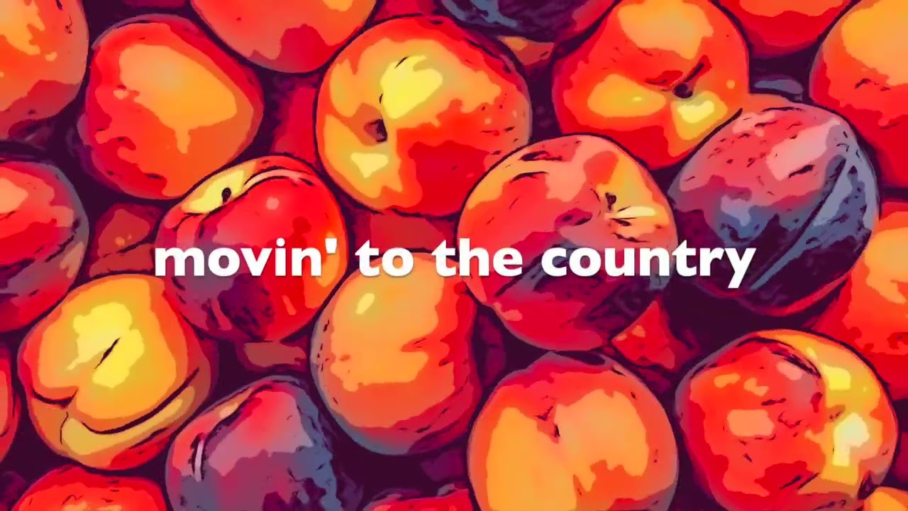 The Presidents of the United States of America   Peaches Lyrics