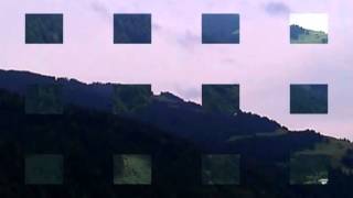 Video Falke Alfons Die Zweite