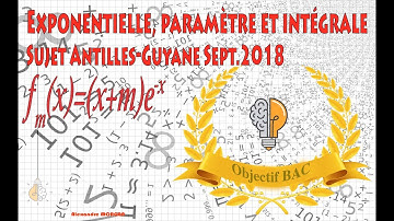 Exponentielle, paramètres et intégrale - Bac Antilles-Guyane septembre 2018