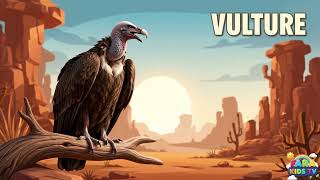 Vulture Sound & Call Learn About Vultures For Kids Natures Cleanup Crew For Toddlers