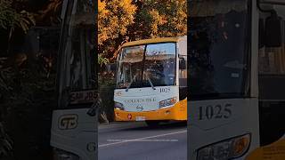 Golden Bee Transport &amp; Logistics Corp. 1025 AMC Tourist Star RK1JST. #shorts #busgalleryph