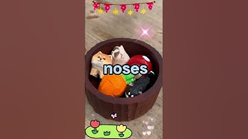 Dark Web users, was there ever  a point in your use that you felt you Were genuinely in danger?