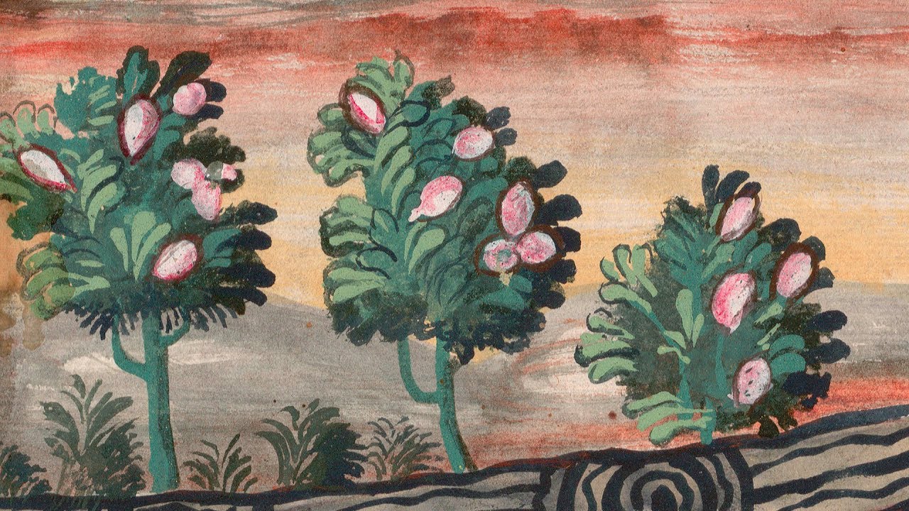 Visual Voyages: Images of Latin American Nature from Columbus to