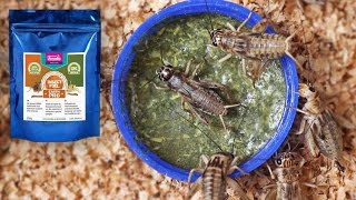 Arcadia EarthPro Insect Fuel Review