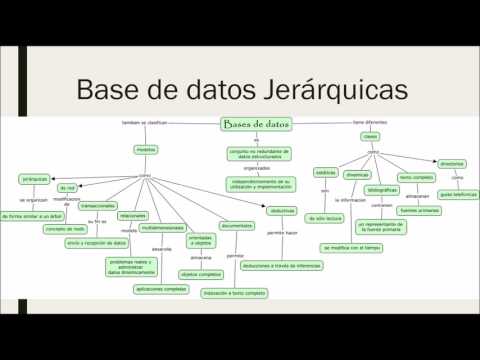 Video: ¿Es jerárquica una base de datos?