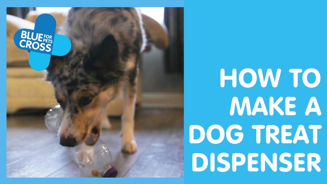 DIY Dog Treat Dispenser to Make at Home 🐶🏠 