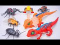 TOY ASMR | ZURU ROBO ALIVE Unboxing: Robo Flying Lizard, Huge Insect Playset ASMR 🐍 Review Toys