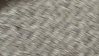 Jake Pulls a Tooth, Second Attempt