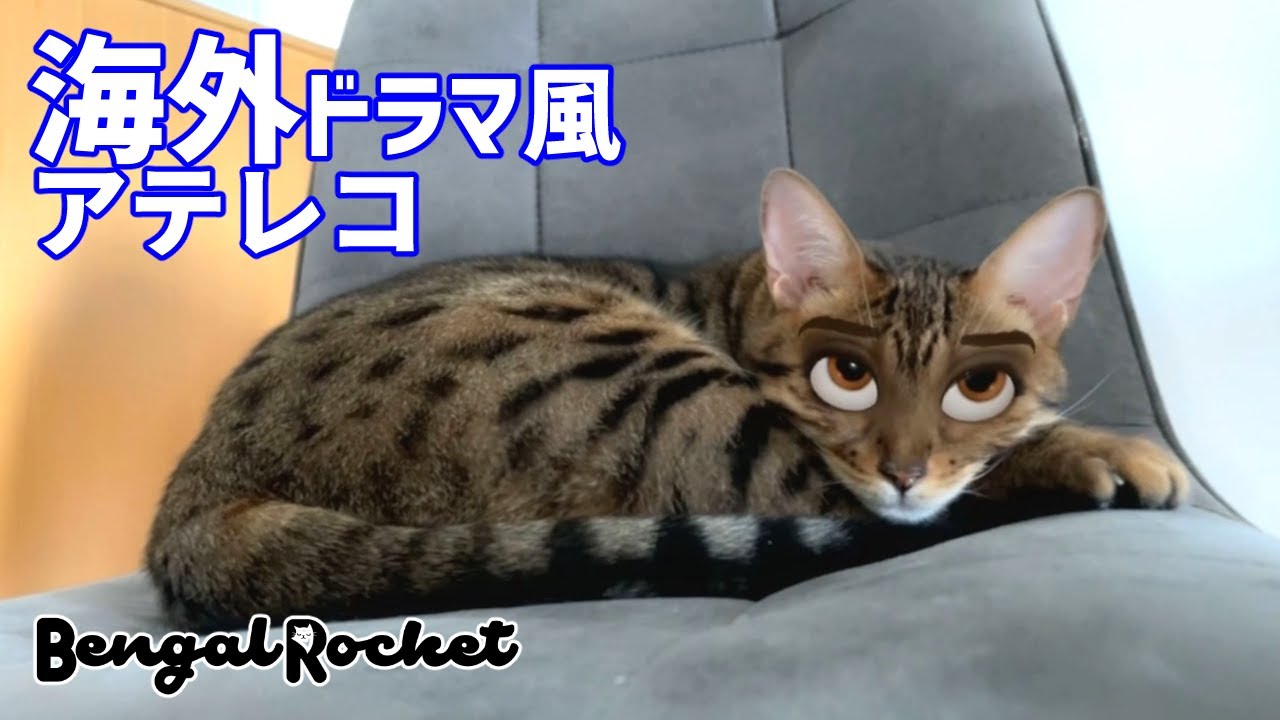 海外ドラマ風 話題のアプリsnapchatで猫をディズニー顔にしてアテレコしてみたｗｗ ベンガルロケット Youtube