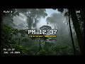 Rainforest Ambience 🌿 Tropical Jungle Sounds for Sleep, Relaxation & Deep Focus