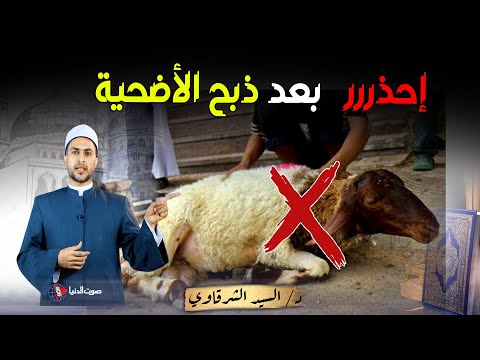 فيديو: يقول الرجل السابق: "إذا عادت القطة"