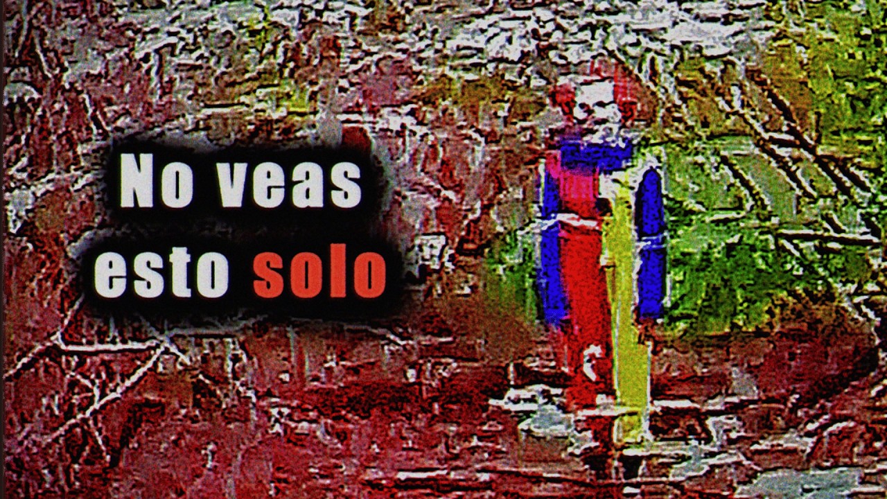 6 Encuentros en el Bosque que NO Debieron Ser Grabados