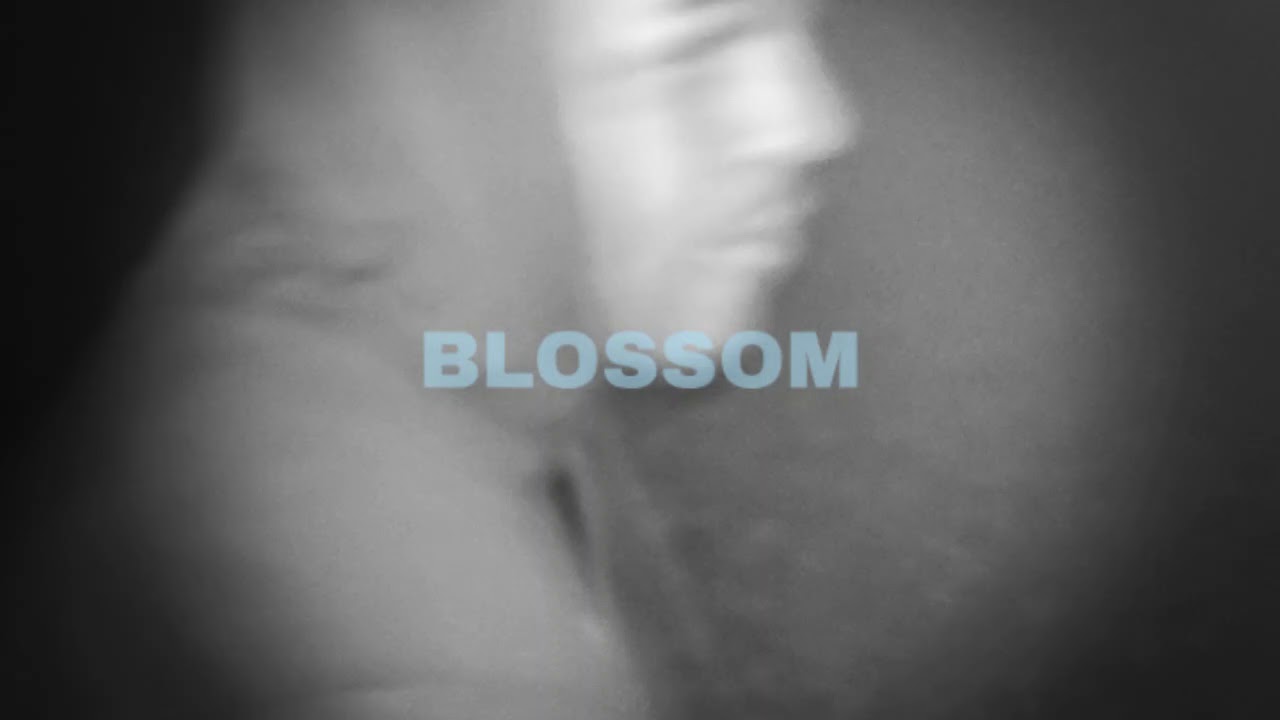 Watch Jay Dewayne - Blossom (Official Audio) on YouTube Watch Jay Dewayne - Blossom (Official Audio) on YouTube