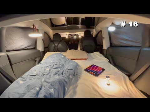 0℃ Car Camping