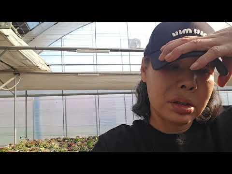돈이좋아 다육이 좋아 돈이좋앙 히히히