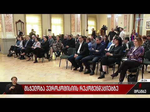 მსჯელობა ევროკომისიის რეკომენდაციებზე