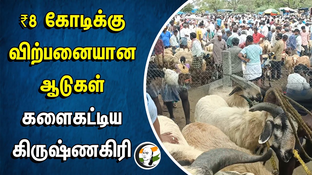 ⁣₹8 கோடிக்கு விற்பனையான ஆடுகள்... களைகட்டிய Krishnagiri Goat Market | Bakrit Festival