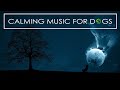 1 Hour of Calming Sleep Music For Dogs! Relaxing music To Help Your Dog Sleep!