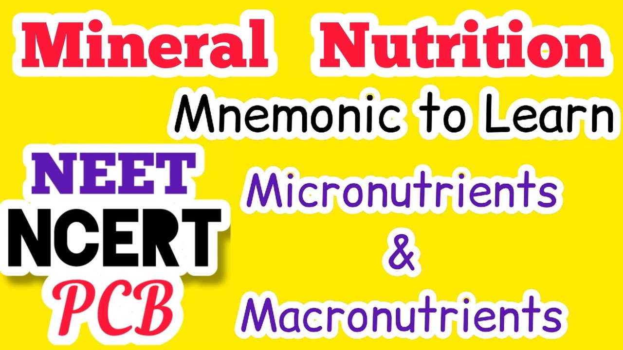 Mnemonic for MINERAL NUTRITION NEET NCERT PCB YouTube