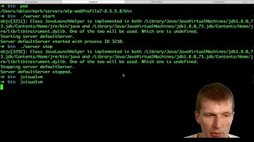 The Overhead Of Java EE Application Servers