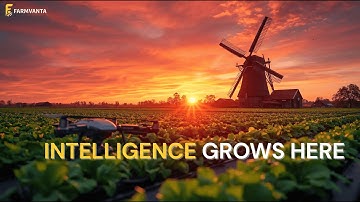 How Smart Farming Is Changing the World | Lessons from the Netherlands (Farmvanta Video)