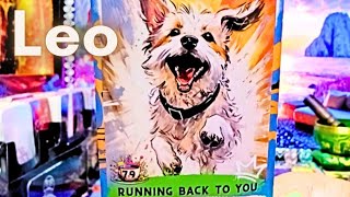 LEO Got U FKED UP They Could Put U N 3rdparty Sit Reject U BK 2 U Like The Happiest Off DA Leash