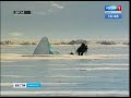 Фильм «Лёд» вышел в прокат в Иркутске