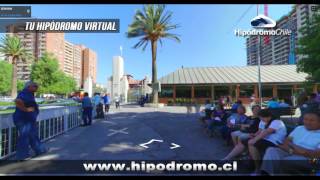TU HIPÓDROMO VIRTUAL