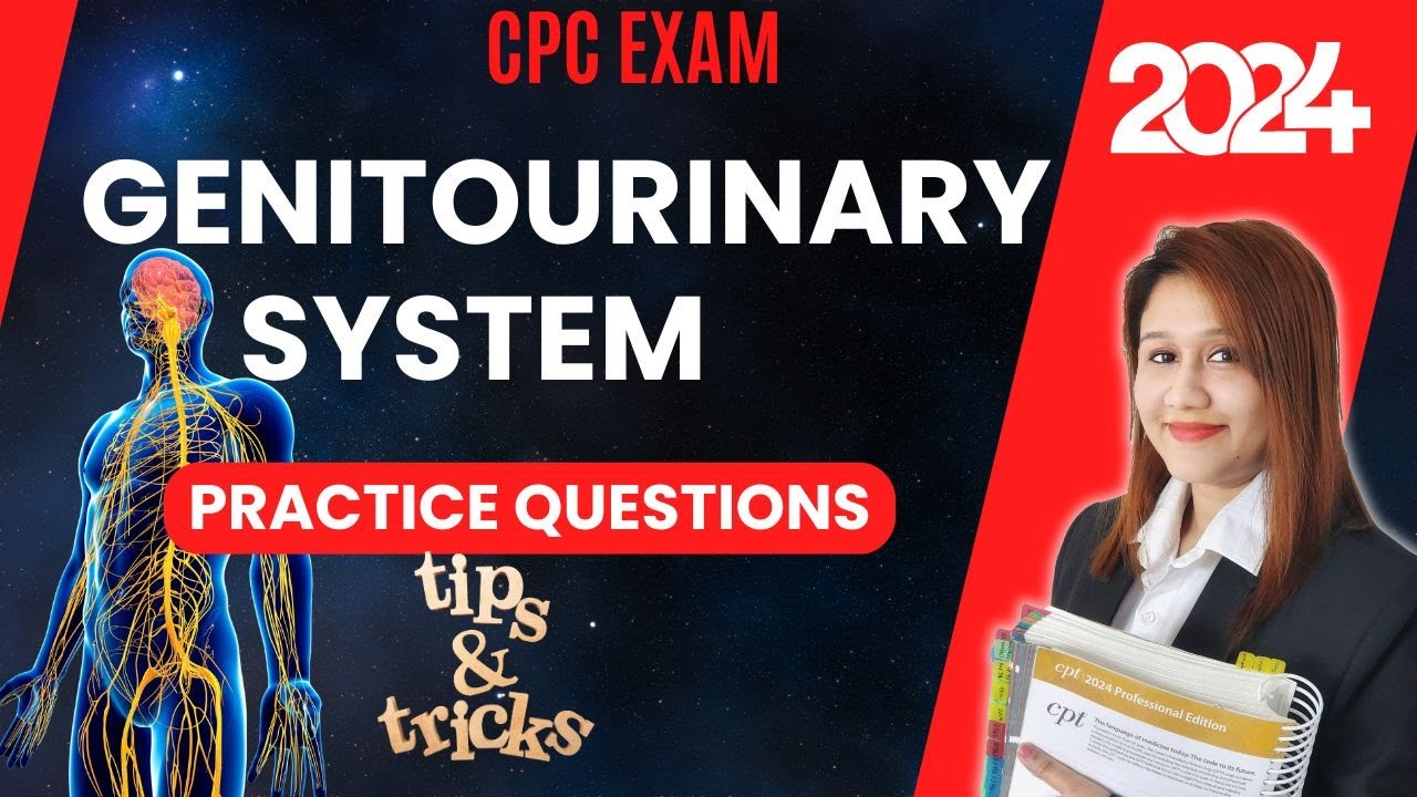 Практические вопросы по мочеполовой системе для экзамена CPC | Медицинское кодирование