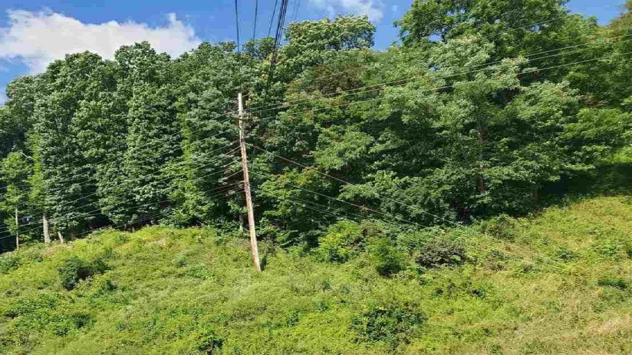 00 Greenbag Road, WV Presented by Eric Bellman. YouTube