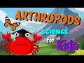 Arthropods Quiz