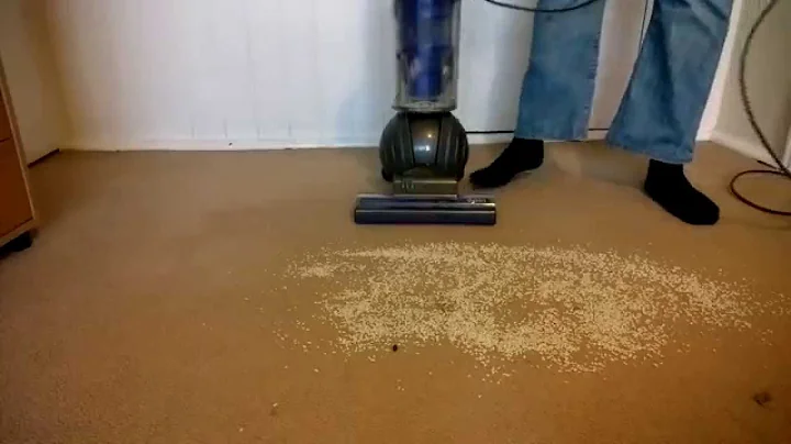 Dyson DC41 MK2 Agitation/Rice test