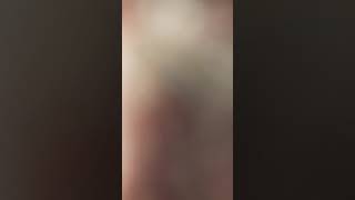 Aklı Kısa Olan Kişiye Uzun Cewap Vermeyinn..