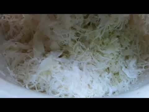 Video: Crispy Sauerkraut Ni Lola