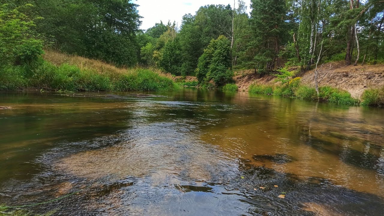 Pstrągi na sztuczną muchę / wędkarstwo muchowe / fly fishing