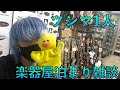リベンジ！【楽器屋でお泊まり雑談】ツシマひとりで夜の配信。