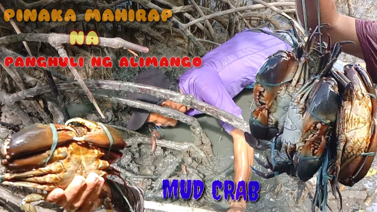 PINAKA DELIKADONG PARAAN NG PANGDUDUKOT NG ALIMANGO ( PART 2 )