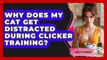 Why Does My Cat Get Distracted During Clicker Training? - Happy Cat Handbook