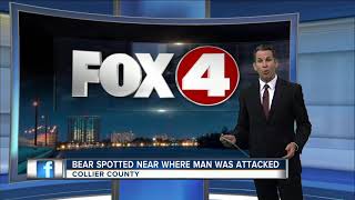Bear spotted in Naples after attacking man