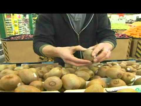 Como escolher um Kiwi - 2008-07-12
