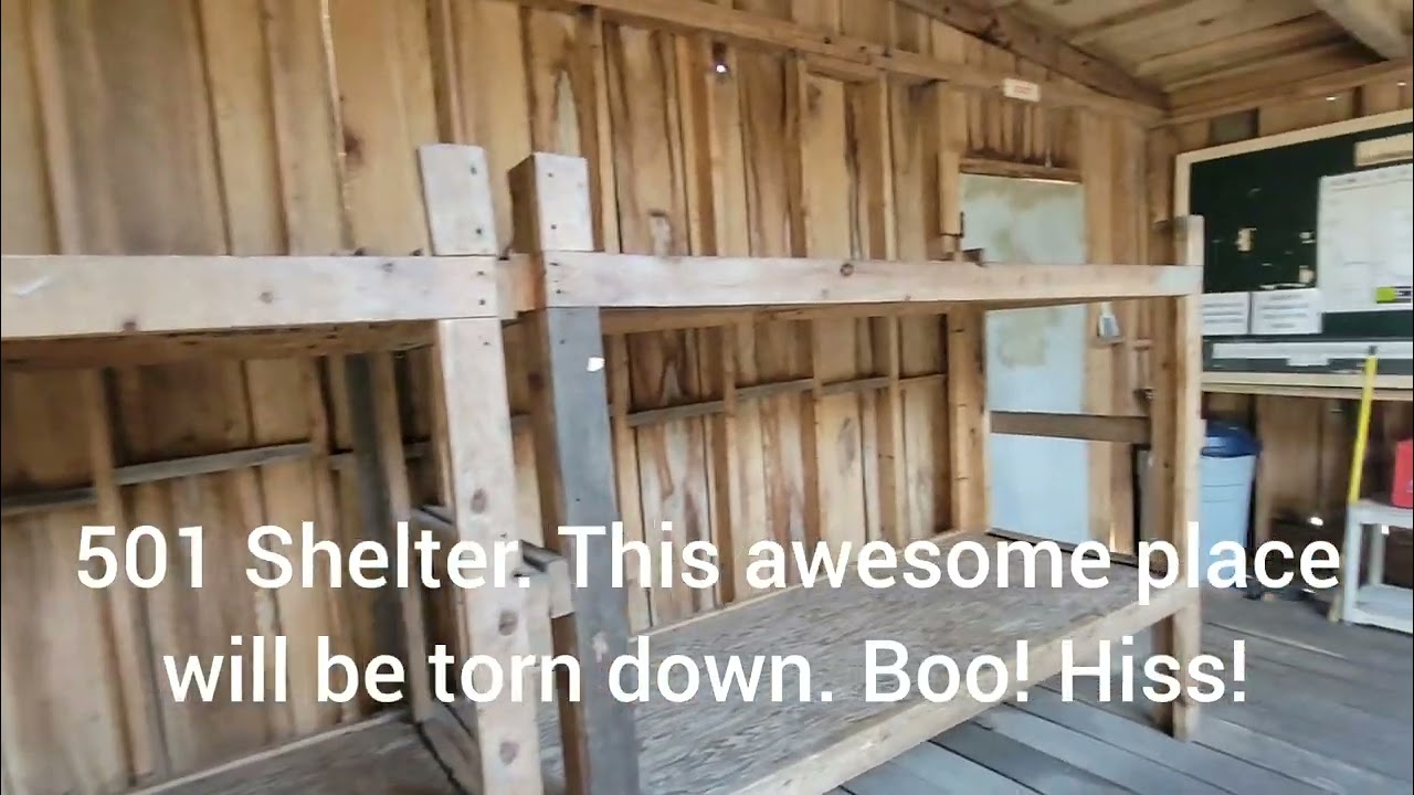 Day 20 to Shelter 501