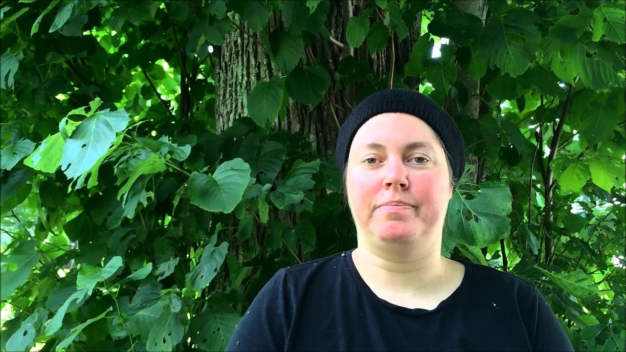 Perfectly Imperfect Korganic Family First Vlog Video