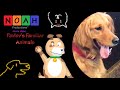 Noah Productions Pavlov S Familiar Animals
