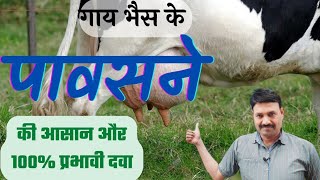 Cows and buffaloes will immediately give full milk after calving. Ramawat screenshot 4