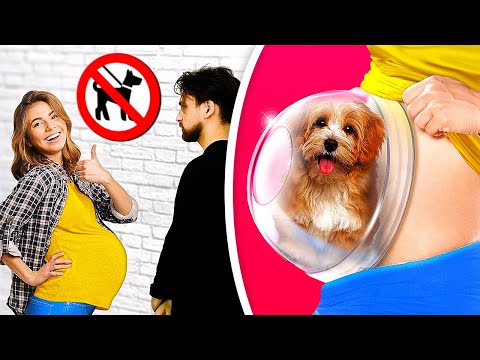 33 СТРАННЫХ, НО ПОЛЕЗНЫХ ЛАЙФХАКА ДЛЯ ВАШИХ ПИТОМЦЕВ