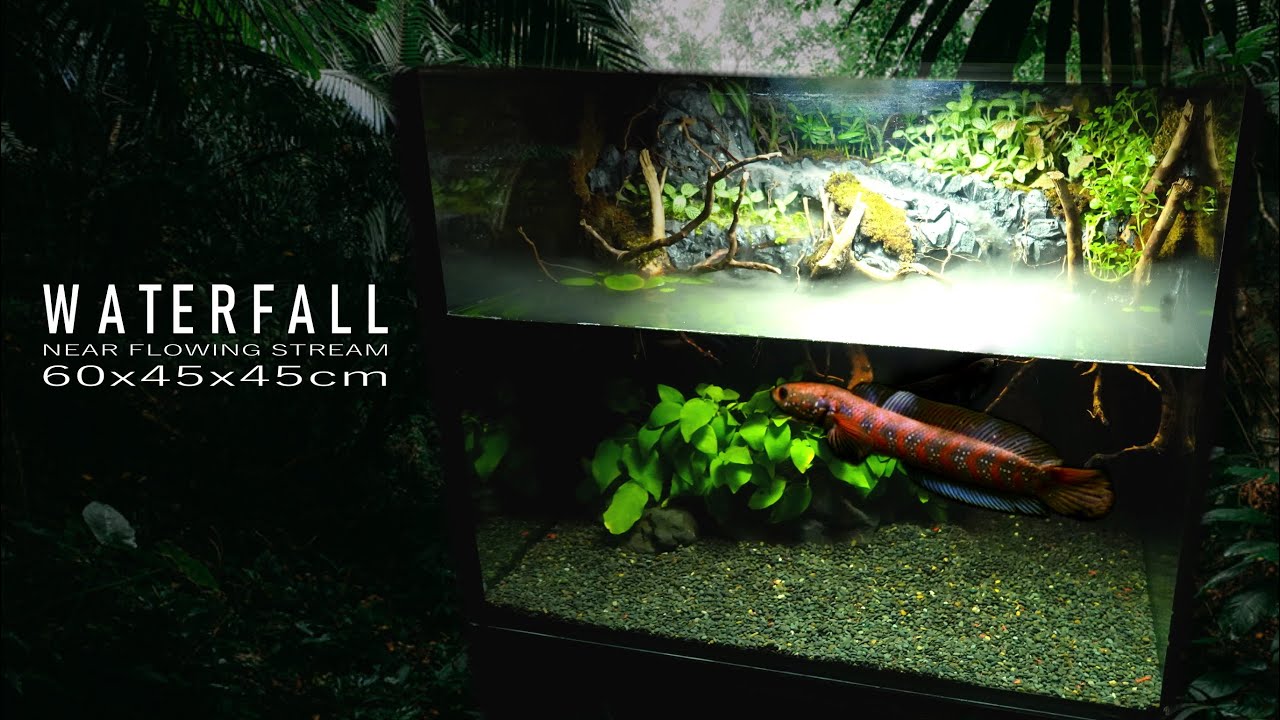DIY Waterfall near the stream forest in Aquaterrarium for Snakehead No Co2,No Ferts Biotope aquarium