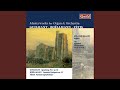 Miniature de la vidéo de la chanson Méditation Sur Le Stabat Mater Pour Orgue Et Orchestre, Op. 63
