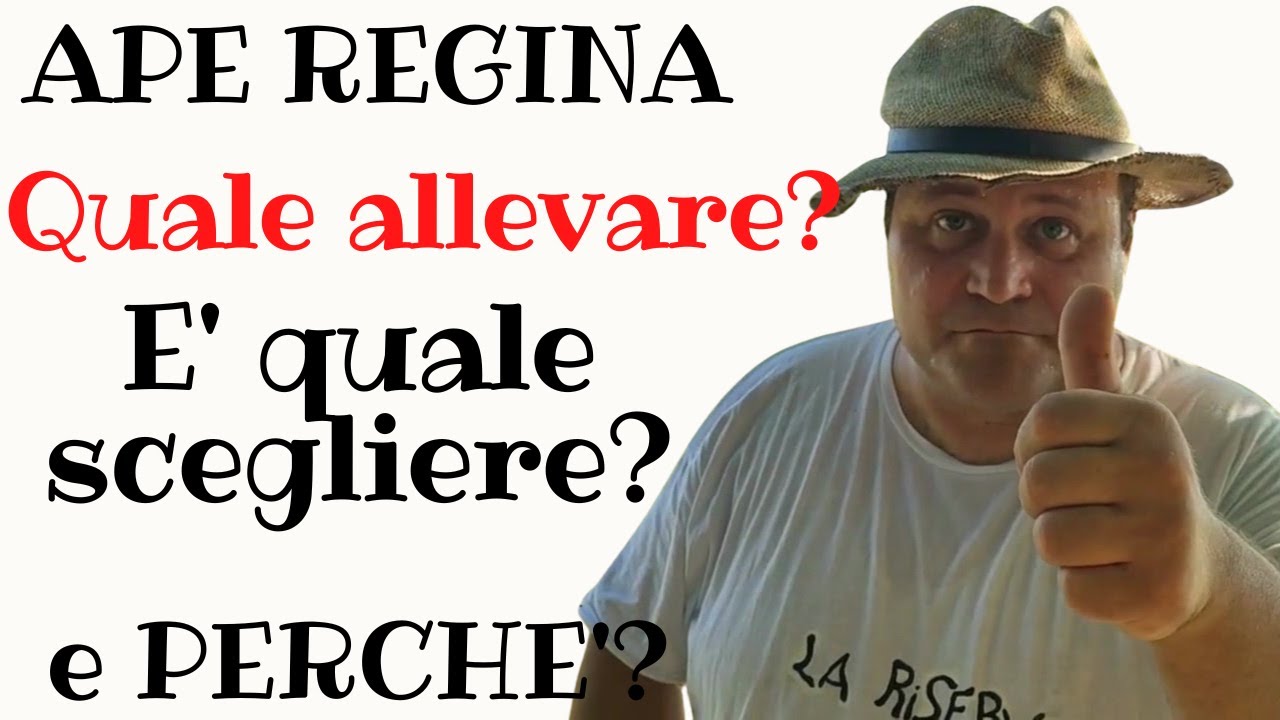 Api regine quale segliere ?quale allevare? e perchè?Apicultura semplice per tutti i neofiti!!!
